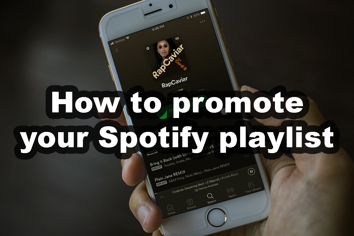 Spotify Playlist Promotion